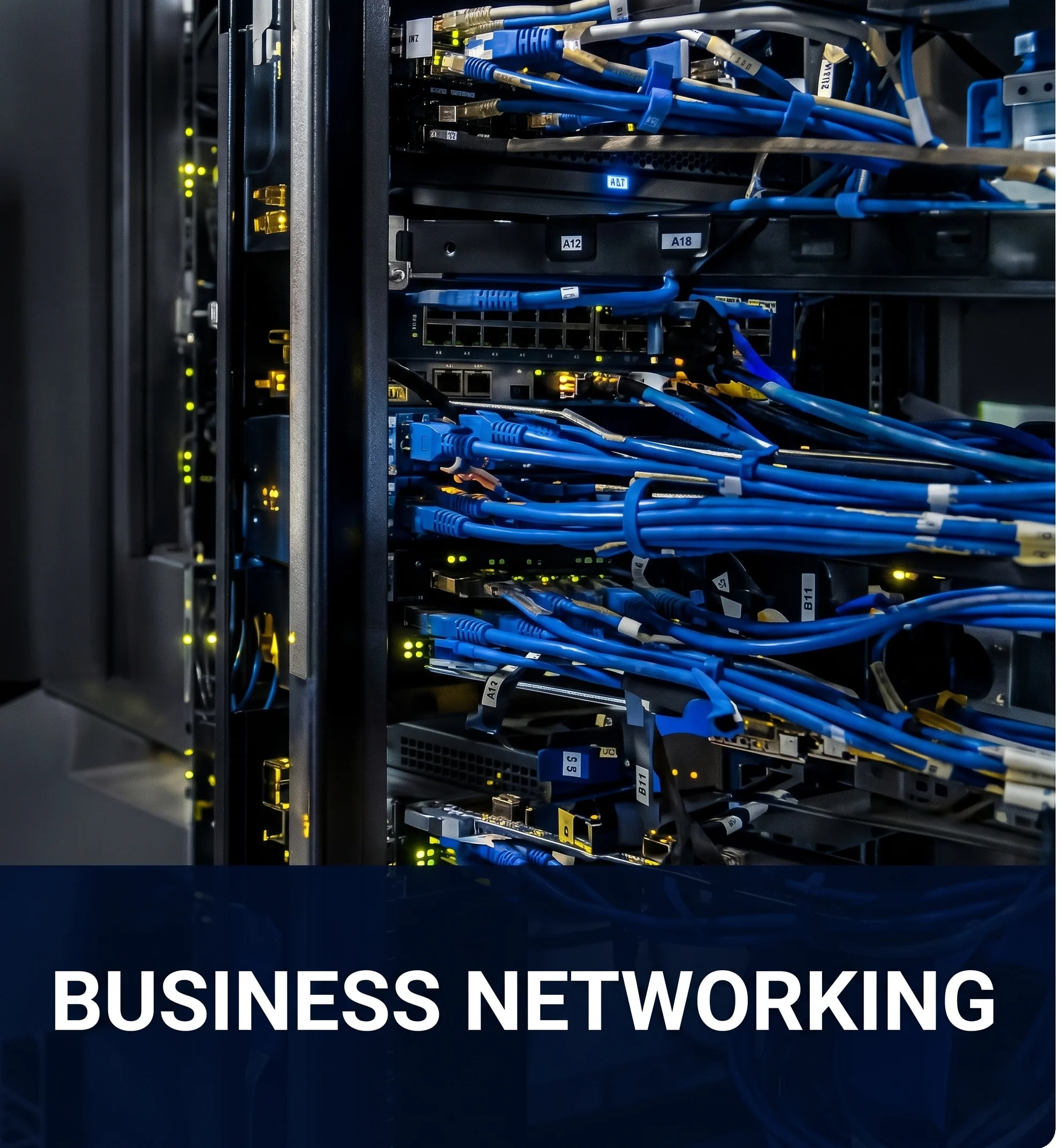 Business Networking